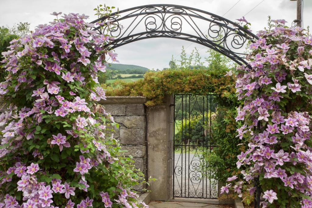 Glasha Farmhouse Guest House Ballymacarbry Luaran gambar