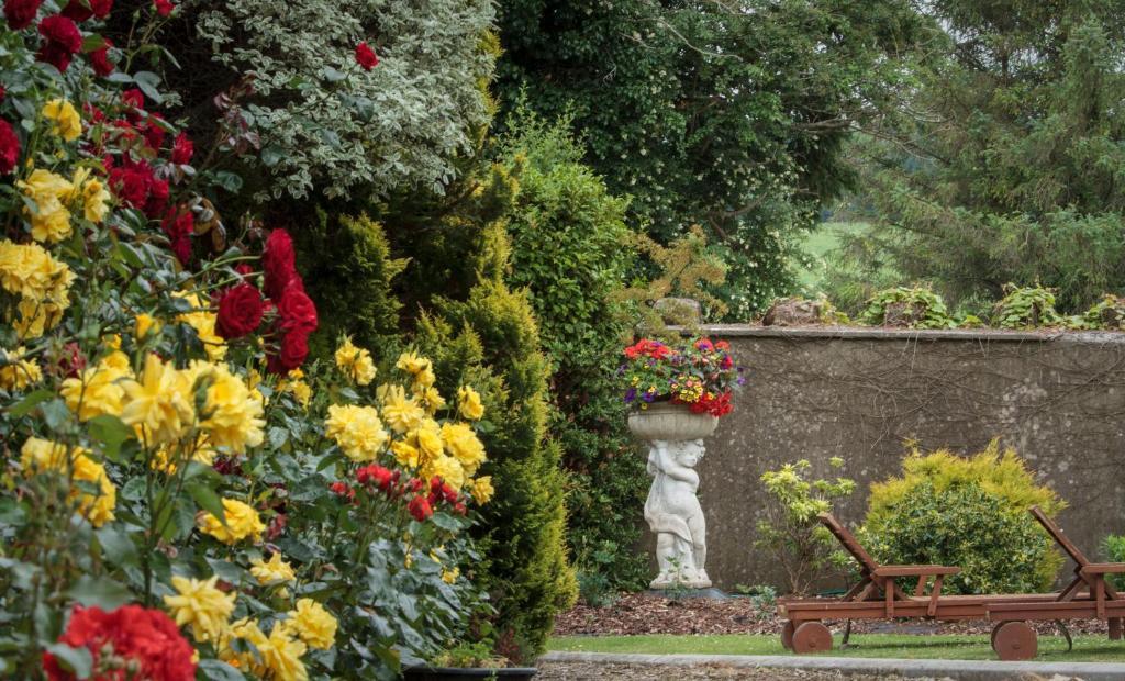 Glasha Farmhouse Guest House Ballymacarbry Luaran gambar